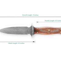 Raven fang Damascus Steel Dagger