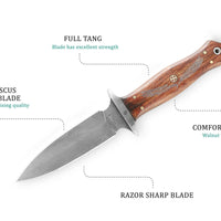 Raven fang Damascus Steel Dagger