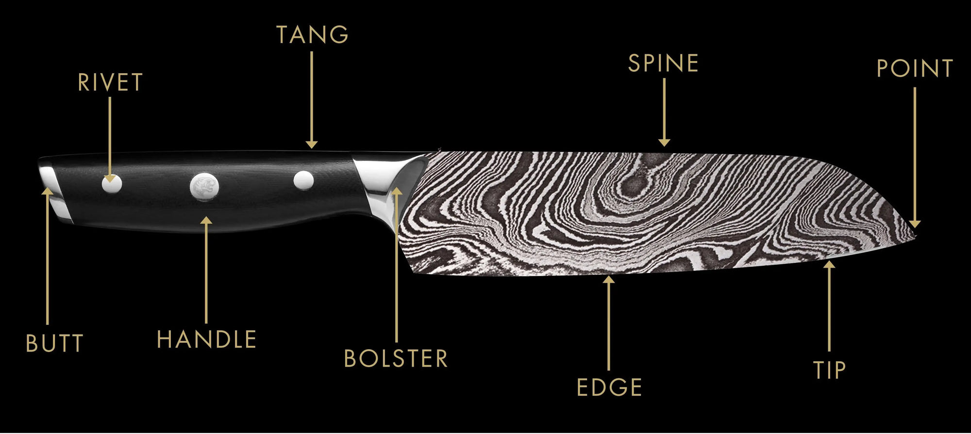 Damascus knife anatomy