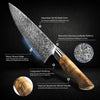 Sycamore Damascus Steel Knives Set