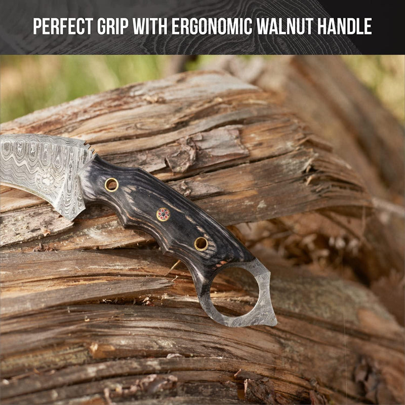 Walnut Damascus Karambit