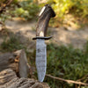 Damascus Antler Handmade Bowie