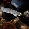 Talon Damascus Damascus Bowie Knife