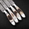 Stag Antler Damascus Steak Knife Set