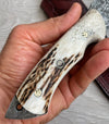 Premium Damascus Camper Blade 