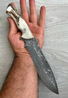 Premium Damascus Camper Blade 