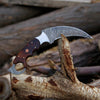 Damascus Karambit Knife