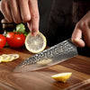 Japanese Damascus Steel Jun Chef Knife - 