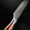 Japanese Damascus Steel Jun Chef Knife - 