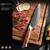 Japanese Damascus Steel Jun Chef Knife - 