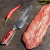 Japanese Damascus Steel Jun Chef Knife - 