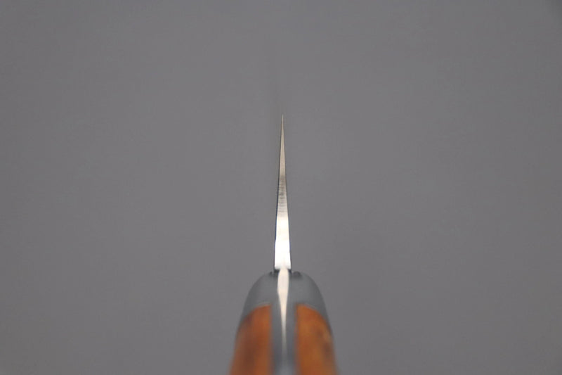 Takeshi Saji R-2 Custom Black Damascus Wild Series Gyuto (180mm to 270mm, 4 sizes, Ironwood Handle) 